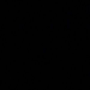 Meet your Posher, Damian